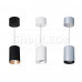 Светильник подвесной SP-POLO-R85-2-15W Day White 40deg (Black, Gold Ring)