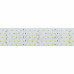 Лента RT 2-2500 24V Warm 5x2 (2835, 875 LED, LUX), SL019080